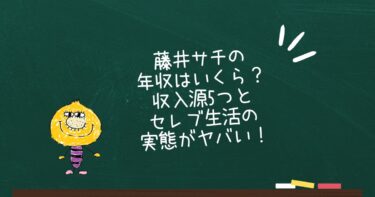 藤井サチの年収はいくら？収入源5つとセレブ生活の実態がヤバい！