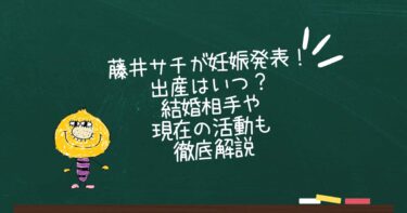 藤井サチが妊娠発表！出産はいつ？結婚相手や現在の活動も徹底解説